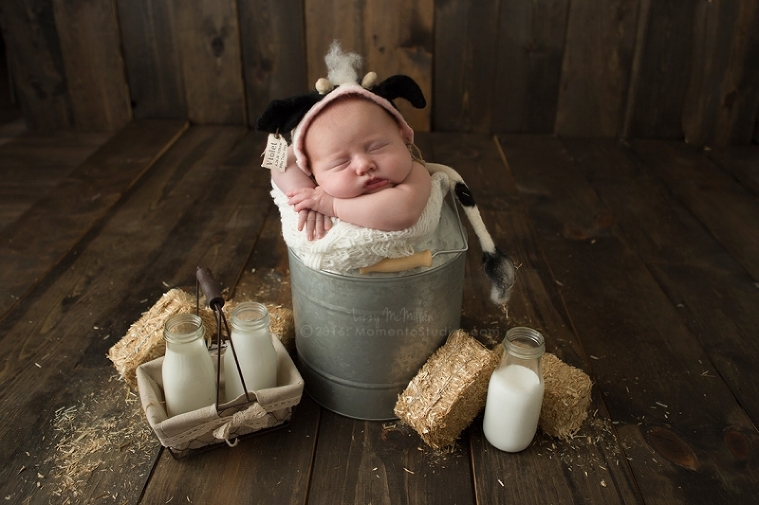 Lizzy McMillan Arizona Newborn Photographer Momento Studios Newborn Girl Phoenix Arizona Mesa Arizona-03