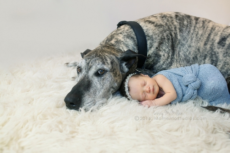 Lizzy McMillan Arizona Newborn Photographer Momento Studios Newborn Girl Phoenix Arizona Mesa Arizona-05