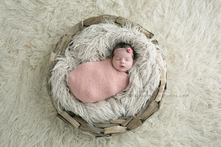 Lizzy McMillan Arizona Newborn Photographer Momento Studios Newborn Girl Phoenix Arizona Mesa Arizona-15