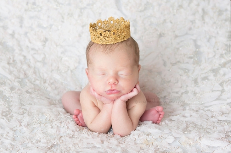 Lizzy McMillan Arizona Newborn Photographer Momento Studios Newborn Girl Phoenix Arizona Mesa Arizona-17