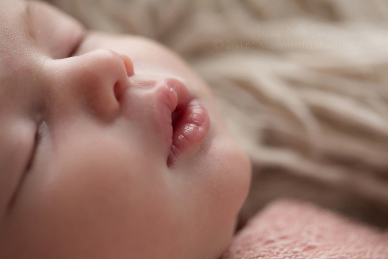 Lizzy McMillan Arizona Newborn Photographer Momento Studios Newborn Girl Phoenix Arizona Mesa Arizona-27