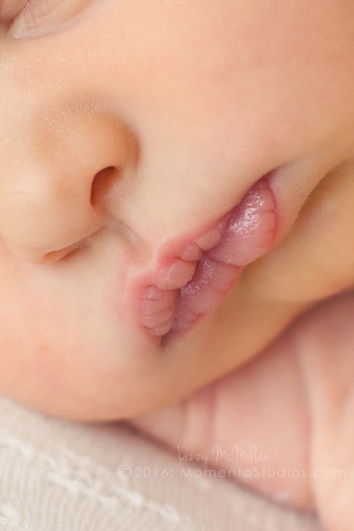 Lizzy McMillan Arizona Newborn Photographer Momento Studios Newborn Boy Phoenix Arizona Mesa Arizona-04