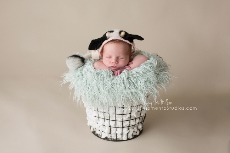 Lizzy McMillan Arizona Newborn Photographer Momento Studios Newborn Boy Phoenix Arizona Mesa Arizona-10